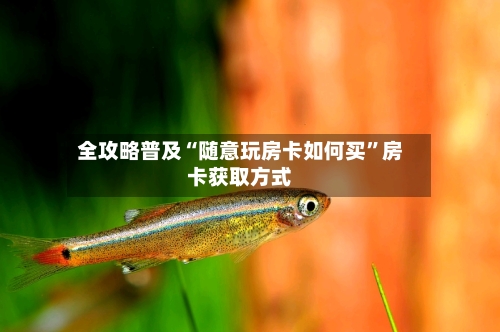 全攻略普及“随意玩房卡如何买”房卡获取方式