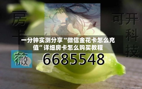 一分钟实测分享“微信金花卡怎么充值	”详细房卡怎么购买教程-第3张图片