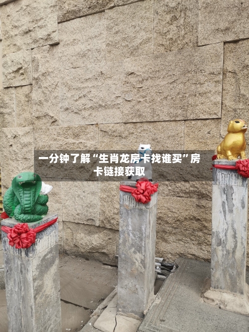 一分钟了解“生肖龙房卡找谁买”房卡链接获取-第2张图片