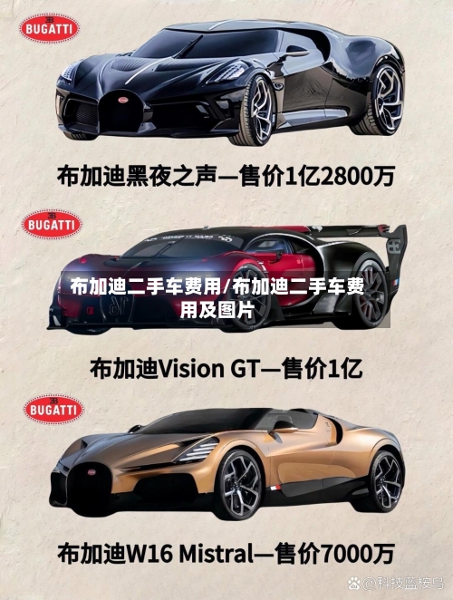 布加迪二手车费用/布加迪二手车费用及图片-第2张图片