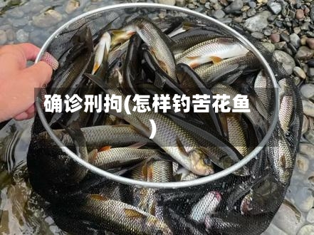 确诊刑拘(怎样钓苦花鱼)