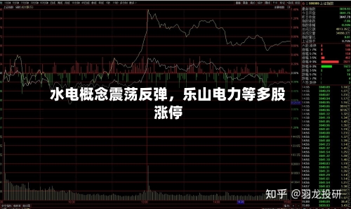 水电概念震荡反弹，乐山电力等多股涨停