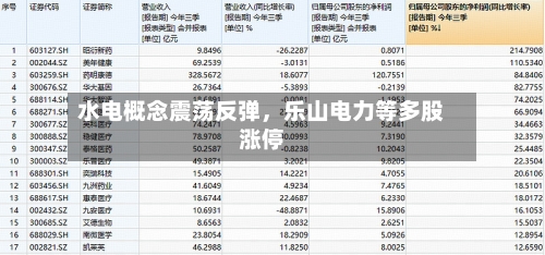 水电概念震荡反弹，乐山电力等多股涨停-第2张图片