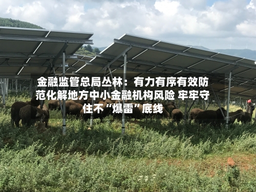 金融监管总局丛林：有力有序有效防范化解地方中小金融机构风险 牢牢守住不“爆雷”底线-第2张图片