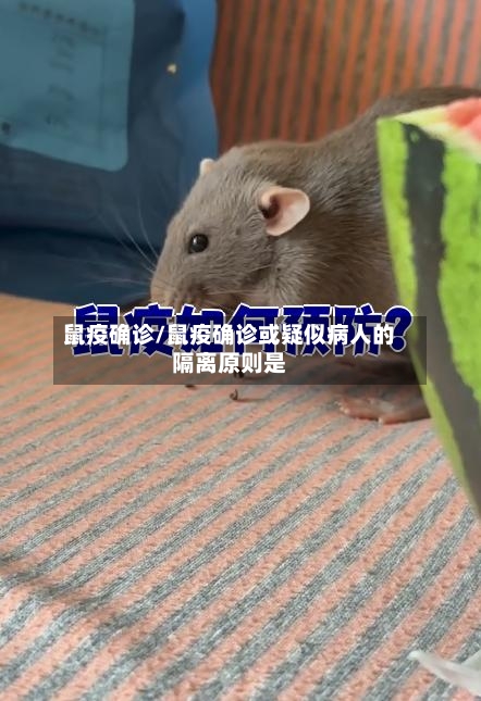 鼠疫确诊/鼠疫确诊或疑似病人的隔离原则是