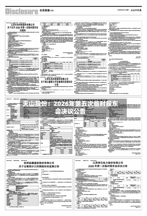 天山股份：2026年第五次临时股东会决议公告