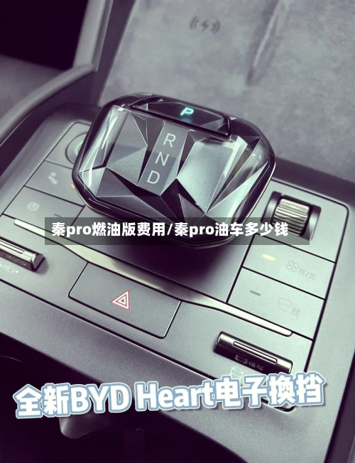 秦pro燃油版费用/秦pro油车多少钱