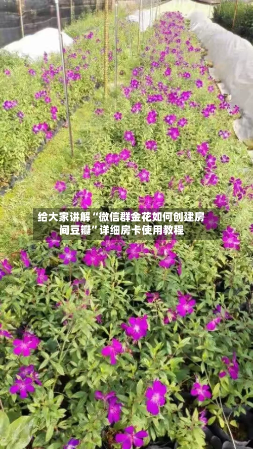给大家讲解“微信群金花如何创建房间豆瓣”详细房卡使用教程-第2张图片