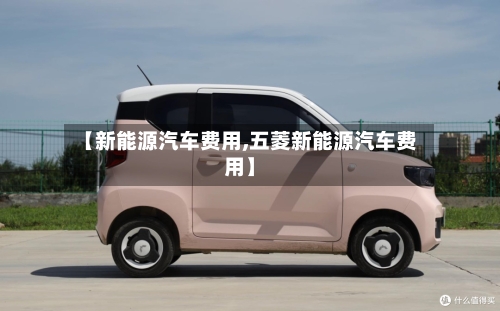 【新能源汽车费用,五菱新能源汽车费用】