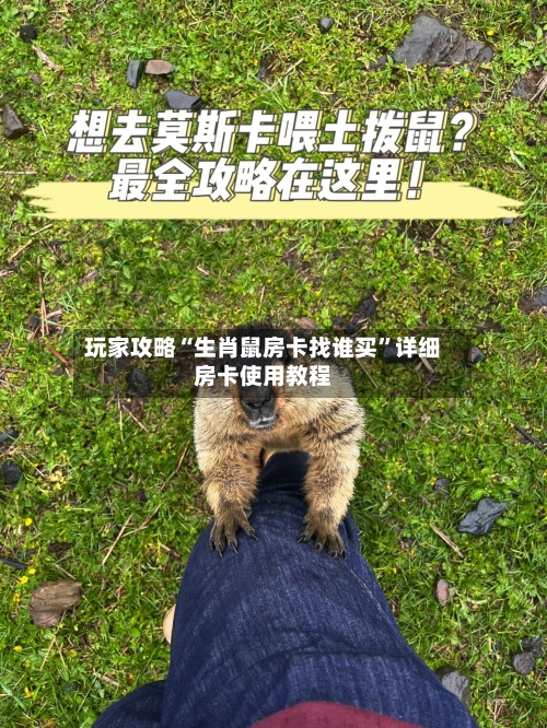 玩家攻略“生肖鼠房卡找谁买”详细房卡使用教程