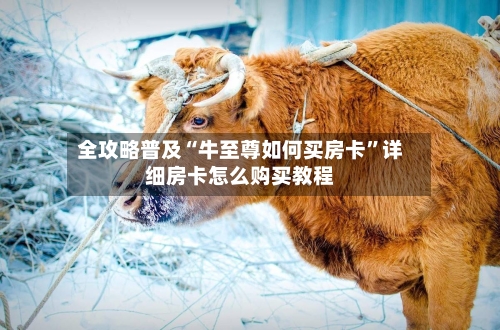 全攻略普及“牛至尊如何买房卡	”详细房卡怎么购买教程-第2张图片
