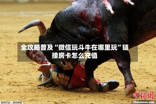 全攻略普及“微信玩斗牛在哪里玩”链接房卡怎么充值-第2张图片