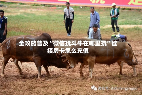 全攻略普及“微信玩斗牛在哪里玩	”链接房卡怎么充值-第3张图片