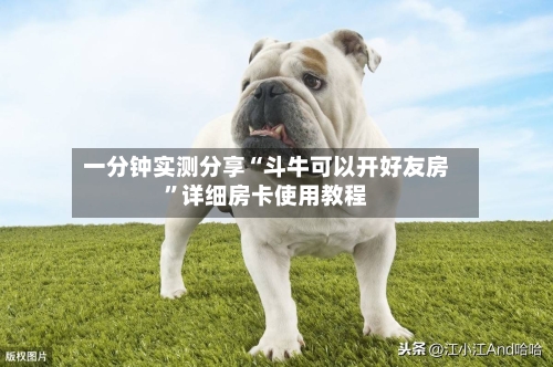 一分钟实测分享“斗牛可以开好友房	”详细房卡使用教程-第2张图片