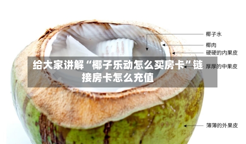 给大家讲解“椰子乐动怎么买房卡”链接房卡怎么充值-第2张图片