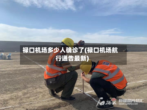 禄口机场多少人确诊了(禄口机场航行通告最新)-第2张图片