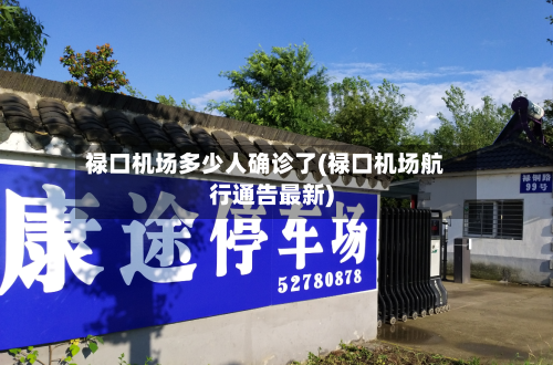 禄口机场多少人确诊了(禄口机场航行通告最新)-第3张图片