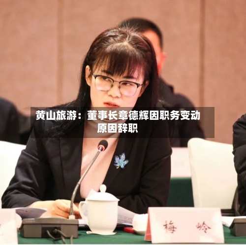 黄山旅游:董事长章德辉因职务变动原因辞职-第3张图片