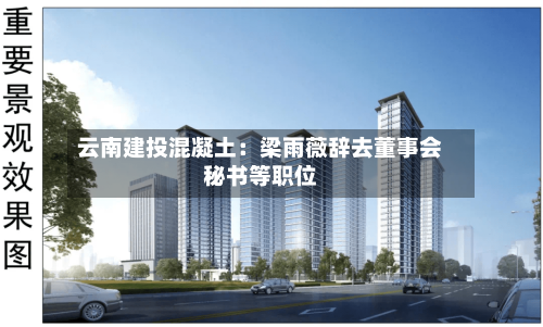 云南建投混凝土:梁雨薇辞去董事会秘书等职位-第2张图片