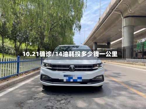 10.21确诊/14油耗投多少钱一公里