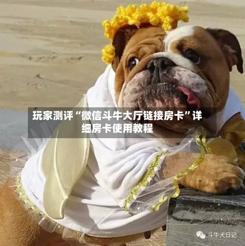 玩家测评“微信斗牛大厅链接房卡”详细房卡使用教程-第2张图片