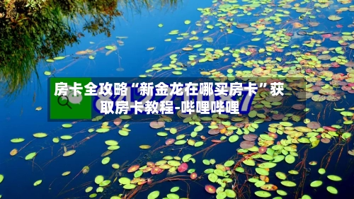 房卡全攻略“新金龙在哪买房卡	”获取房卡教程-哔哩哔哩-第2张图片