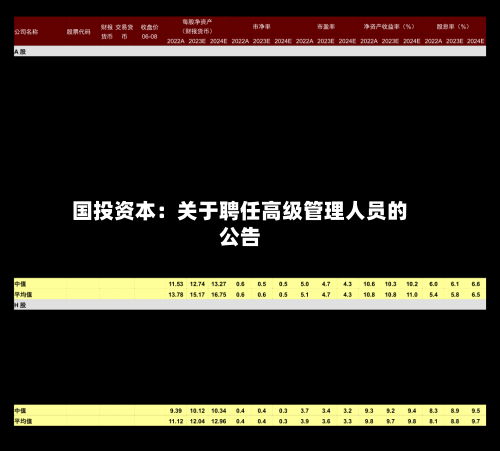 国投资本：关于聘任高级管理人员的公告