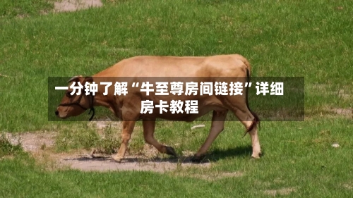 一分钟了解“牛至尊房间链接”详细房卡教程