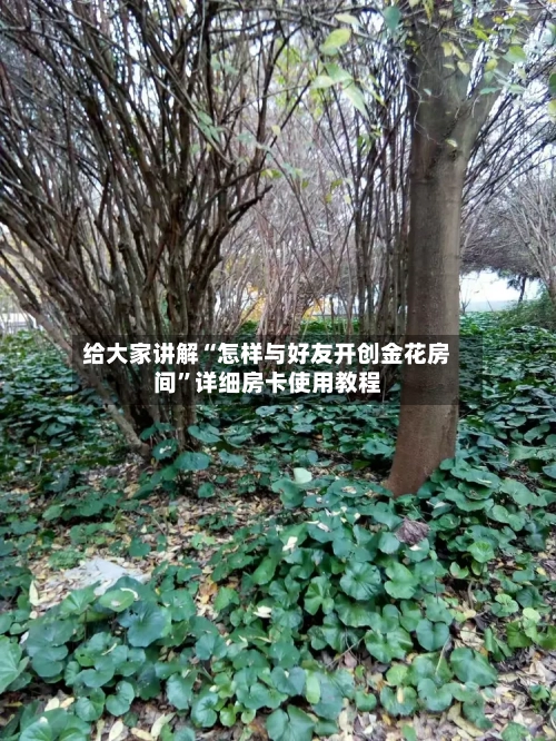 给大家讲解“怎样与好友开创金花房间”详细房卡使用教程