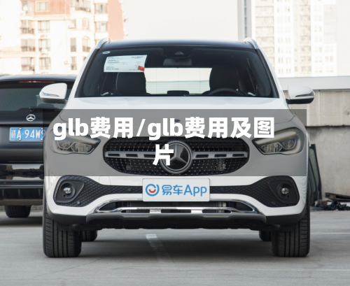 glb费用/glb费用及图片-第2张图片