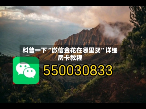 科普一下“微信金花在哪里买”详细房卡教程-第2张图片