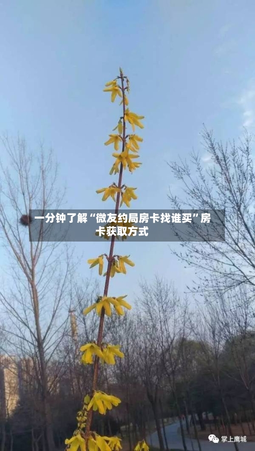 一分钟了解“微友约局房卡找谁买”房卡获取方式