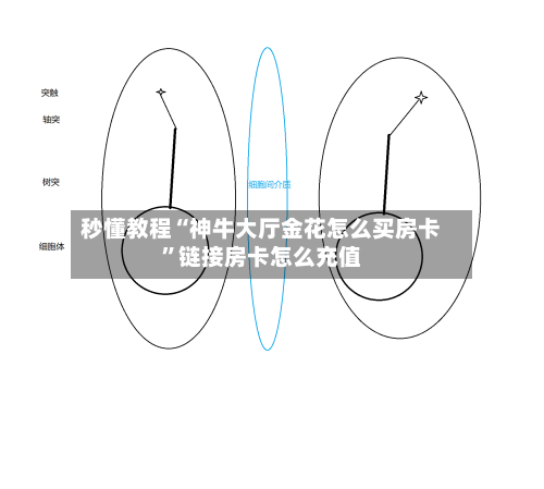 秒懂教程“神牛大厅金花怎么买房卡”链接房卡怎么充值-第3张图片