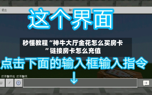 秒懂教程“神牛大厅金花怎么买房卡”链接房卡怎么充值-第2张图片