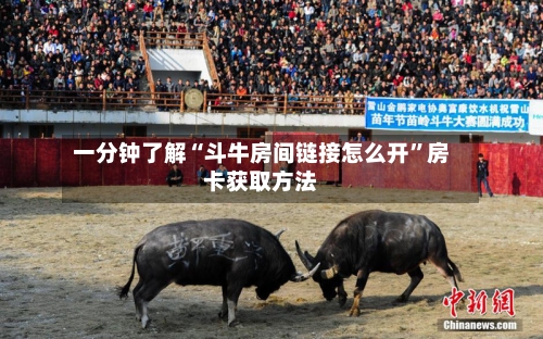 一分钟了解“斗牛房间链接怎么开”房卡获取方法-第2张图片