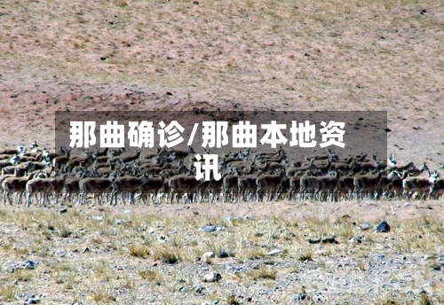 那曲确诊/那曲本地资讯-第2张图片