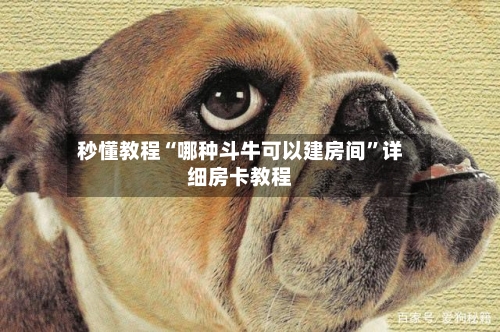 秒懂教程“哪种斗牛可以建房间”详细房卡教程-第2张图片