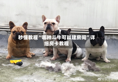 秒懂教程“哪种斗牛可以建房间	”详细房卡教程-第3张图片