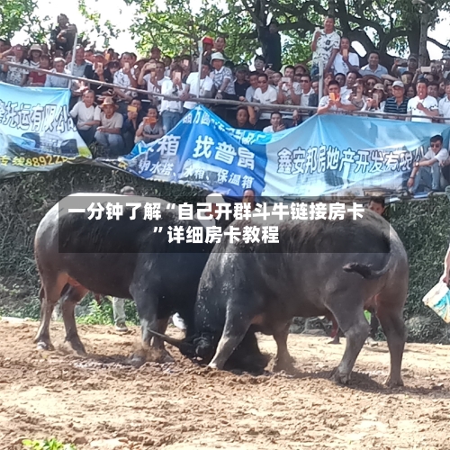 一分钟了解“自己开群斗牛链接房卡”详细房卡教程-第2张图片