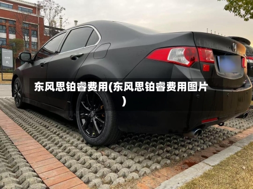 东风思铂睿费用(东风思铂睿费用图片)