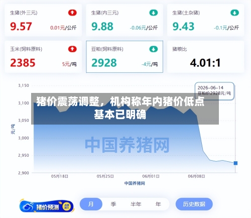 猪价震荡调整	，机构称年内猪价低点基本已明确-第2张图片