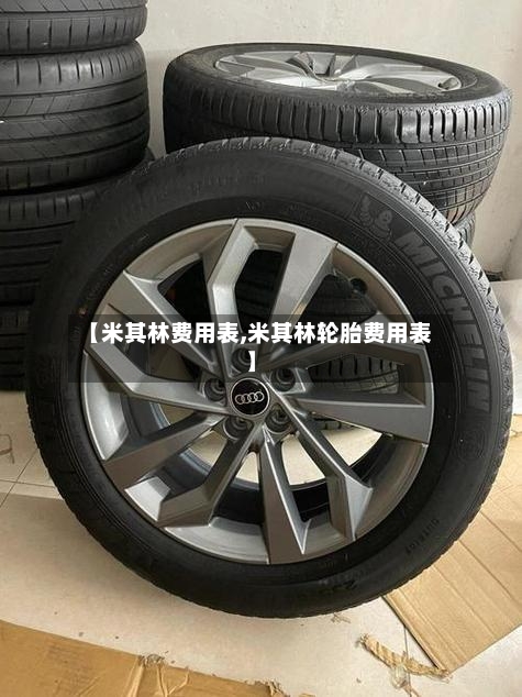 【米其林费用表,米其林轮胎费用表】-第2张图片