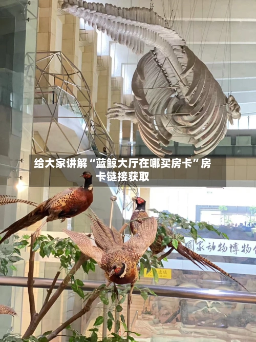 给大家讲解“蓝鲸大厅在哪买房卡”房卡链接获取-第2张图片