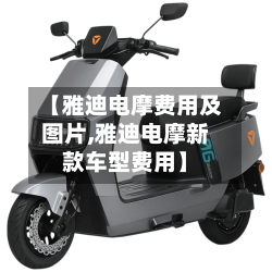 【雅迪电摩费用及图片,雅迪电摩新款车型费用】-第2张图片