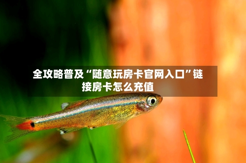 全攻略普及“随意玩房卡官网入口”链接房卡怎么充值-第3张图片