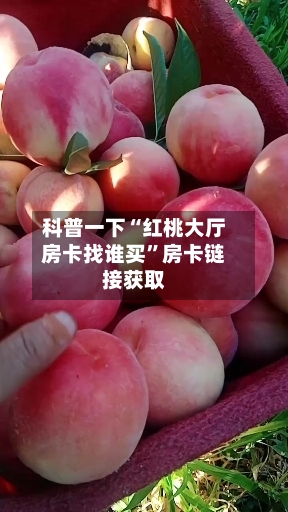 科普一下“红桃大厅房卡找谁买”房卡链接获取-第2张图片