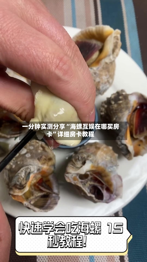 一分钟实测分享“海螺互娱在哪买房卡”详细房卡教程-第2张图片