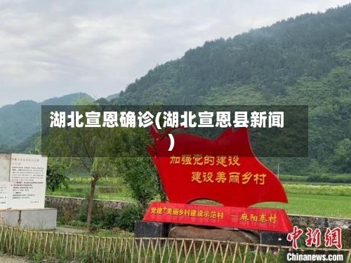 湖北宣恩确诊(湖北宣恩县新闻)