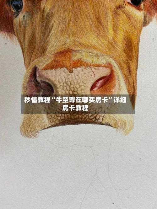 秒懂教程“牛至尊在哪买房卡	”详细房卡教程-第3张图片