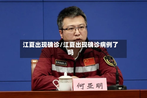 江夏出现确诊/江夏出现确诊病例了吗